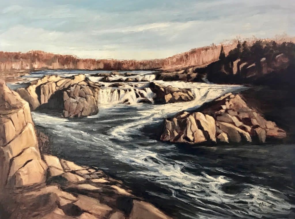 The Great Falls, Overlook 3 by Begoña Morton