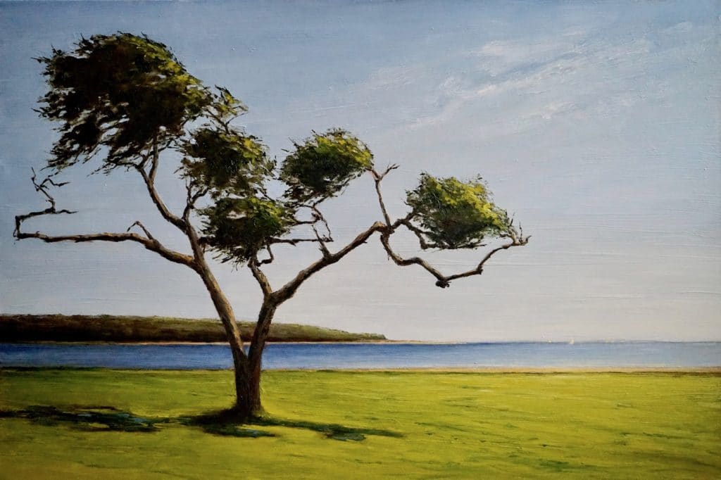 Daufuskie Island Tree by Begoña Morton